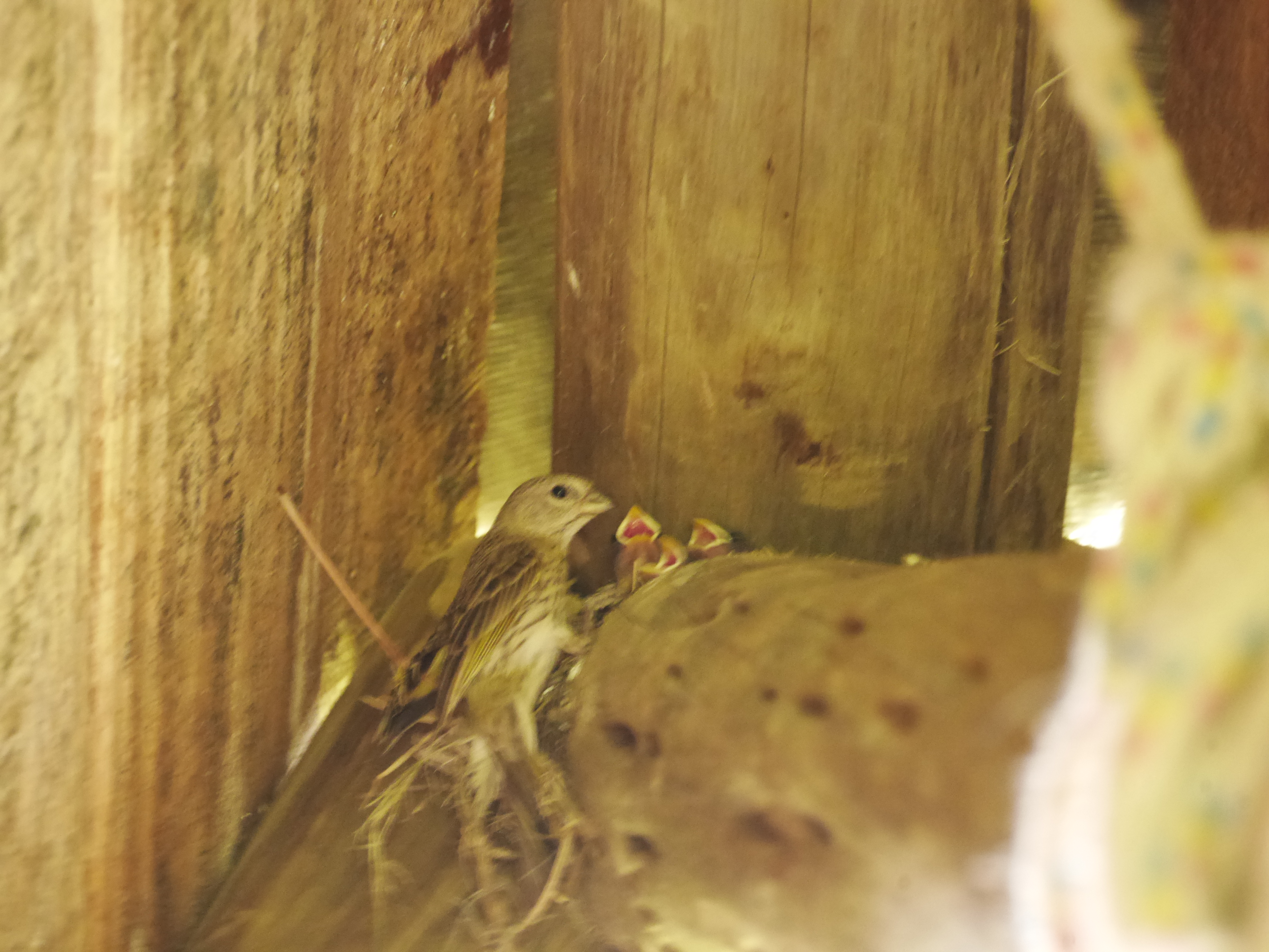 Familia que dividiu a casa comigo