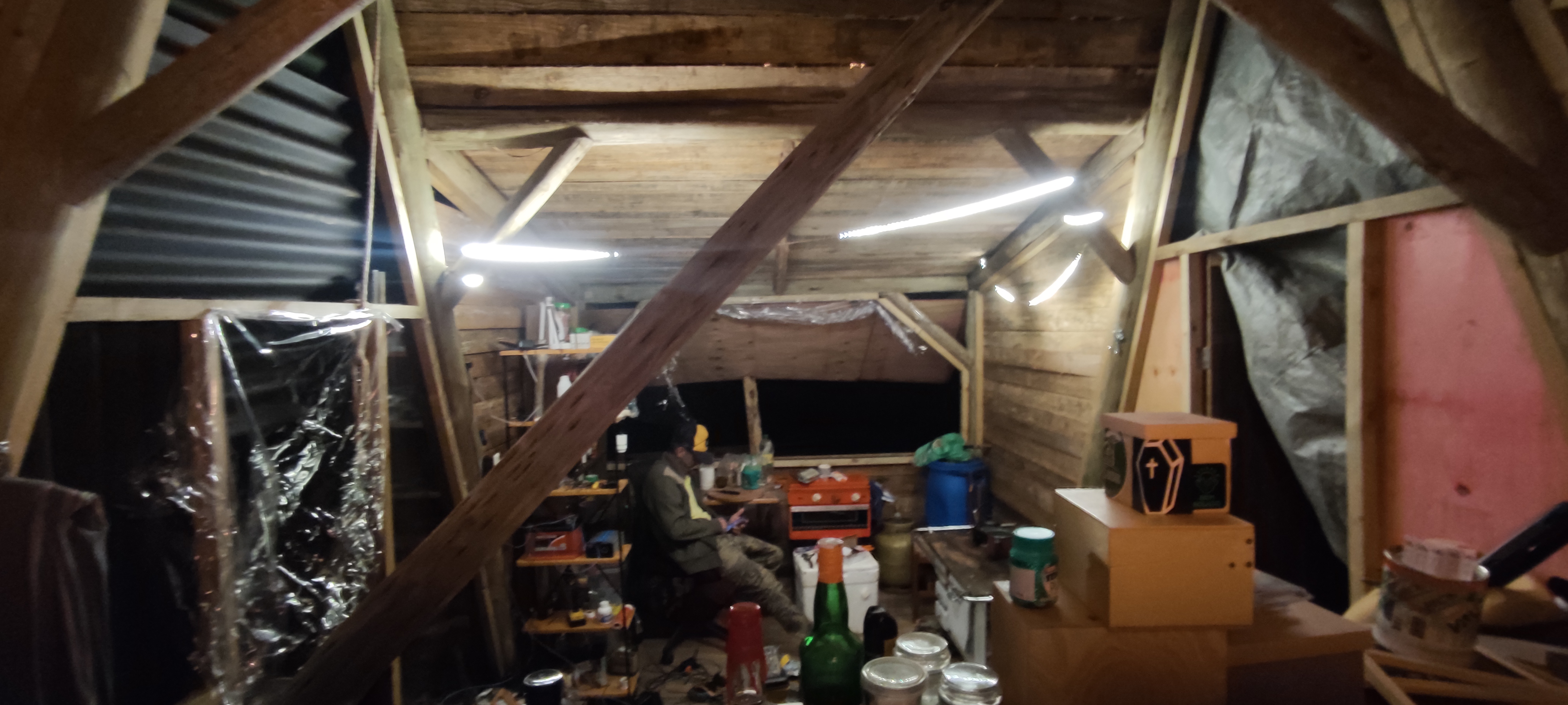 Primeira noite - Novembro/2022